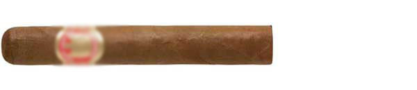 Saint Luis Rey